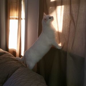 Meet your Posher, Diane